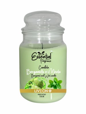 Essential Fragrance Candela Profumata Menta e Bergamotto 510gr
